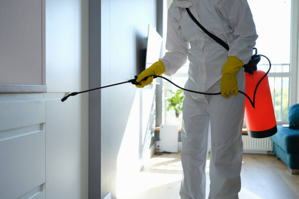 Best Mold Remediation  in Lake Forest Park, WA